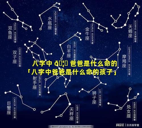 八字中 🦋 爸爸是什么命的「八字中爸爸是什么命的孩子」